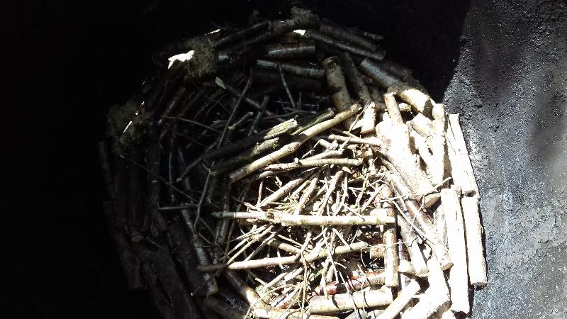 kindling and first round of wood