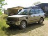 rangey out of the mud.jpg