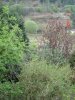 DSC00376.JPG
