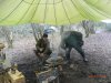 RIMG0257.jpg