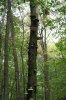 028 - Copy.jpg