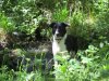 various 2012 030.jpg