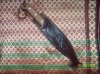 my bushcraft 297.jpg