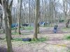 my bushcraft 280.jpg