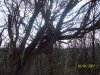 my bushcraft 283.jpg