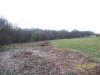 my bushcraft 286.jpg
