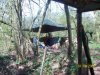 my bushcraft 300.jpg