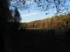 DSCF2477.jpg