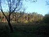 DSCF2478.jpg