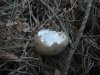 DSCF2482.jpg