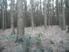 DSCF2490.jpg