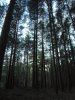 DSCF2493.jpg