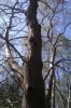 IMAG0415.jpg