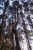 IMAG0417.jpg