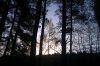 IMAG0421.jpg