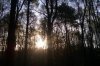 IMAG0422.jpg