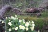 IMAG0427.jpg