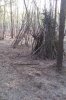 IMAG0429.jpg