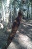 IMAG0443.jpg