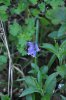 DSC_0876.jpg