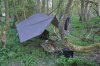 DSC_0877.jpg