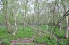 DSC_0888.jpg
