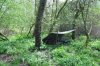 DSC_0899.jpg