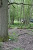 DSC_0950.jpg