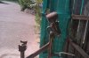 IMAG0215.jpg