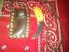 IMG00311-20130322-1150.jpg