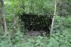 Woodland Shelter.jpg