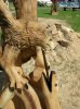 DSCN3003.jpg
