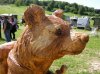 DSCN3007.jpg