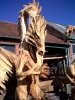 dragon1.jpg
