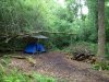 IMG_0797.jpg