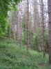PICT0005.jpg