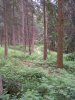 PICT0013.jpg