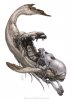 kt-01.jpg