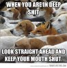 Rule--1-For-Survival-Funny-Animal-Picture-.jpg