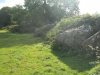 Bottor Rock Farm 2013 005.jpg
