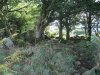 Bottor Rock Farm 2013 007.jpg