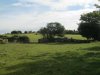Bottor Rock Farm 2013 010.jpg