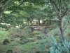 Bottor Rock Farm 2013 014.jpg