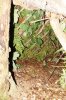 Debris Shelter - Inside.jpg