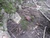 20130914_124633.jpg