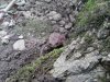 20130914_124701.jpg