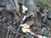 20130914_133749.jpg