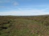 Sunday Moor Walk 6.10.13 005.jpg