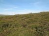 Sunday Moor Walk 6.10.13 006.jpg