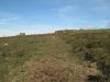 Sunday Moor Walk 6.10.13 010.jpg